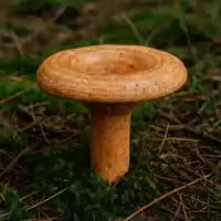 Ryzec smrkový